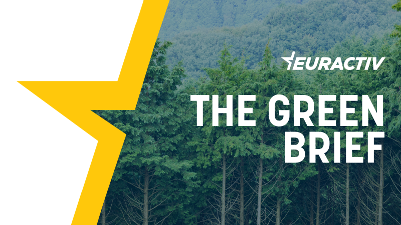 The Green Brief: The US is back. Should Europe rejoice?