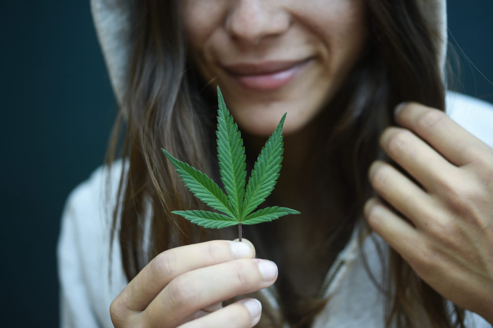 Terpene Flavor Guide: Where Cannabis Gets Its Taste