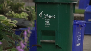 Ottawa residents toss more organic waste into the green bin during COVID-19 pandemic