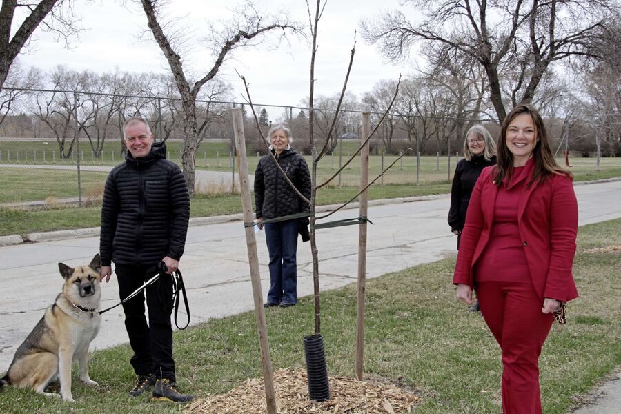 Riverview boulevards green again with new trees
