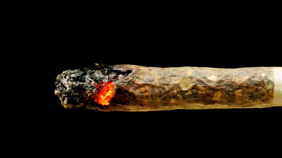 The burning issue: Should cannabis be legalised?