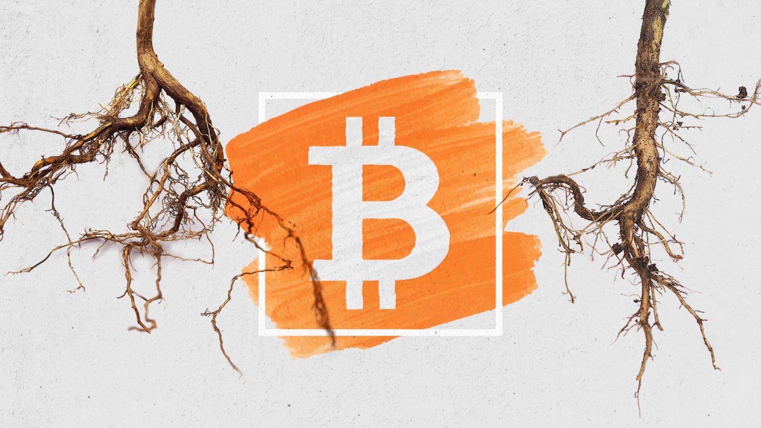 Taproot signaling begins for Bitcoin, but immediate consensus may be out of reach