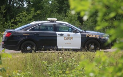 OPP seize $5.1M of cannabis plants from Leamington greenhouse