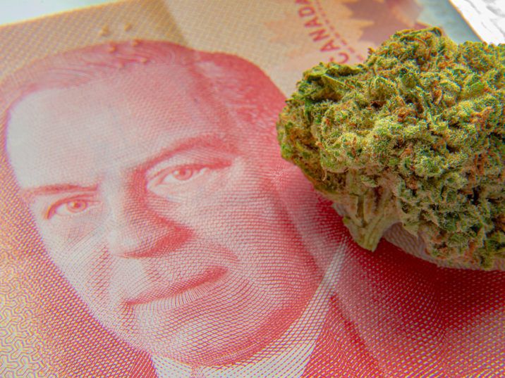 Cannabis prices down, but tab for harddrugs up in US states with legal weed