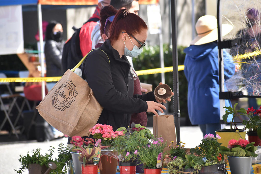 PHOTOS: White Rock Farmers’ Market opens for the season