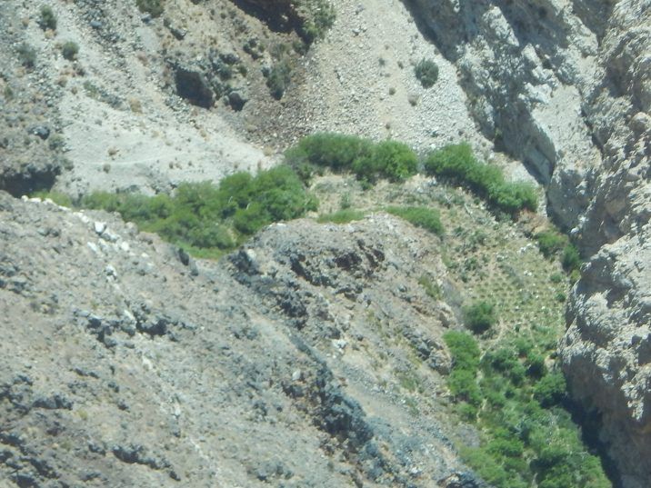 Park officials report dangerous cannabis grow site found in Jail Canyon