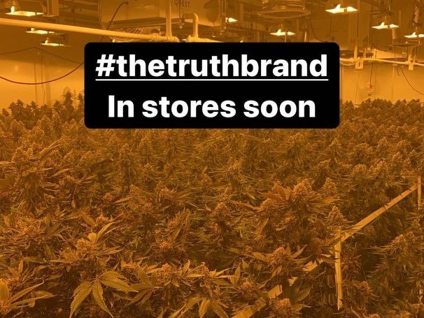 Former NBA star Paul Pierce takes to Instagram to show off massive cannabis grow