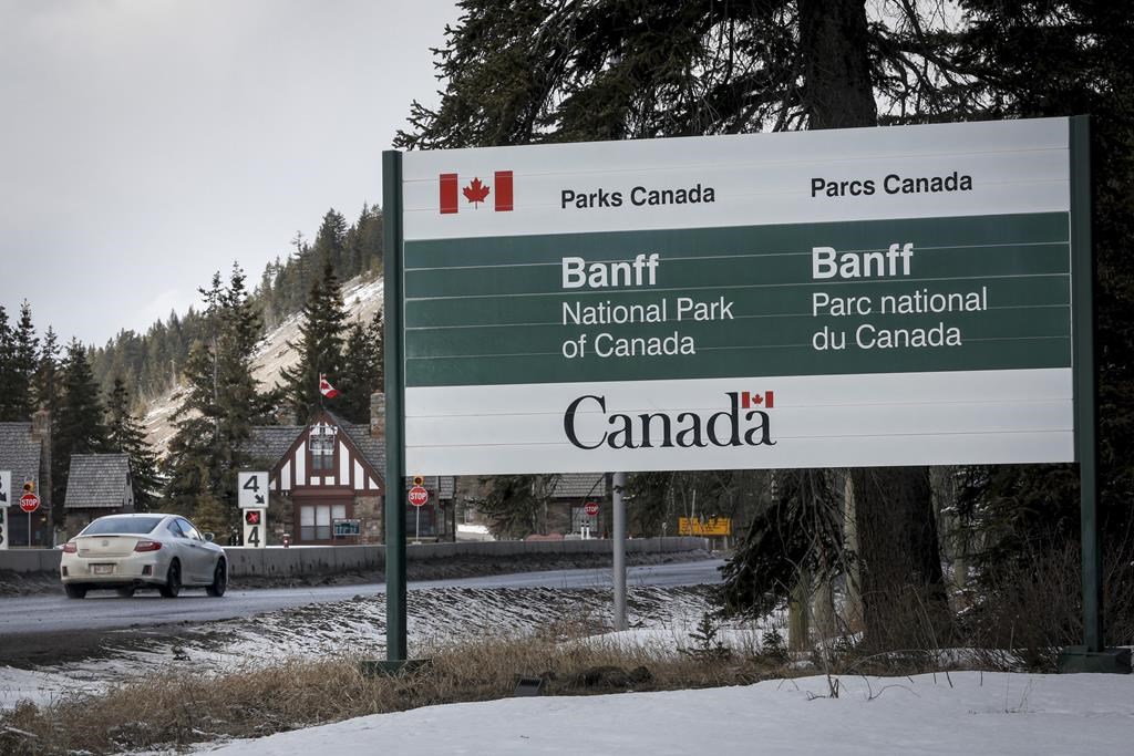 Banff welcoming visitors back as cases dip and vaccinations increase