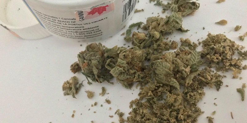NLC Cannabis Sales Grow 34 Per Cent, Alcohol Increases 8 Per Cent During Pandemic