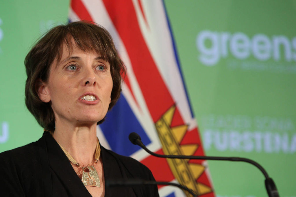 BC Green leader Furstenau introduces old-growth logging petition