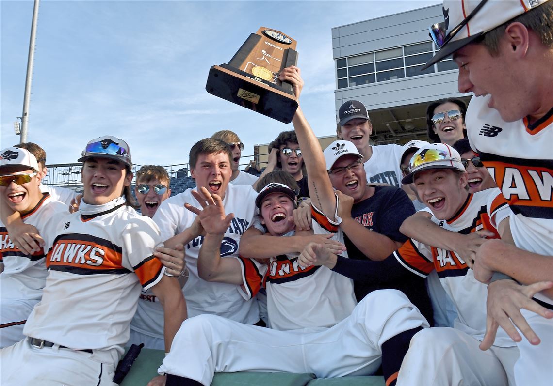 Bethel Park escapes PIAA Class 5A championship with win against defending champion Red Land