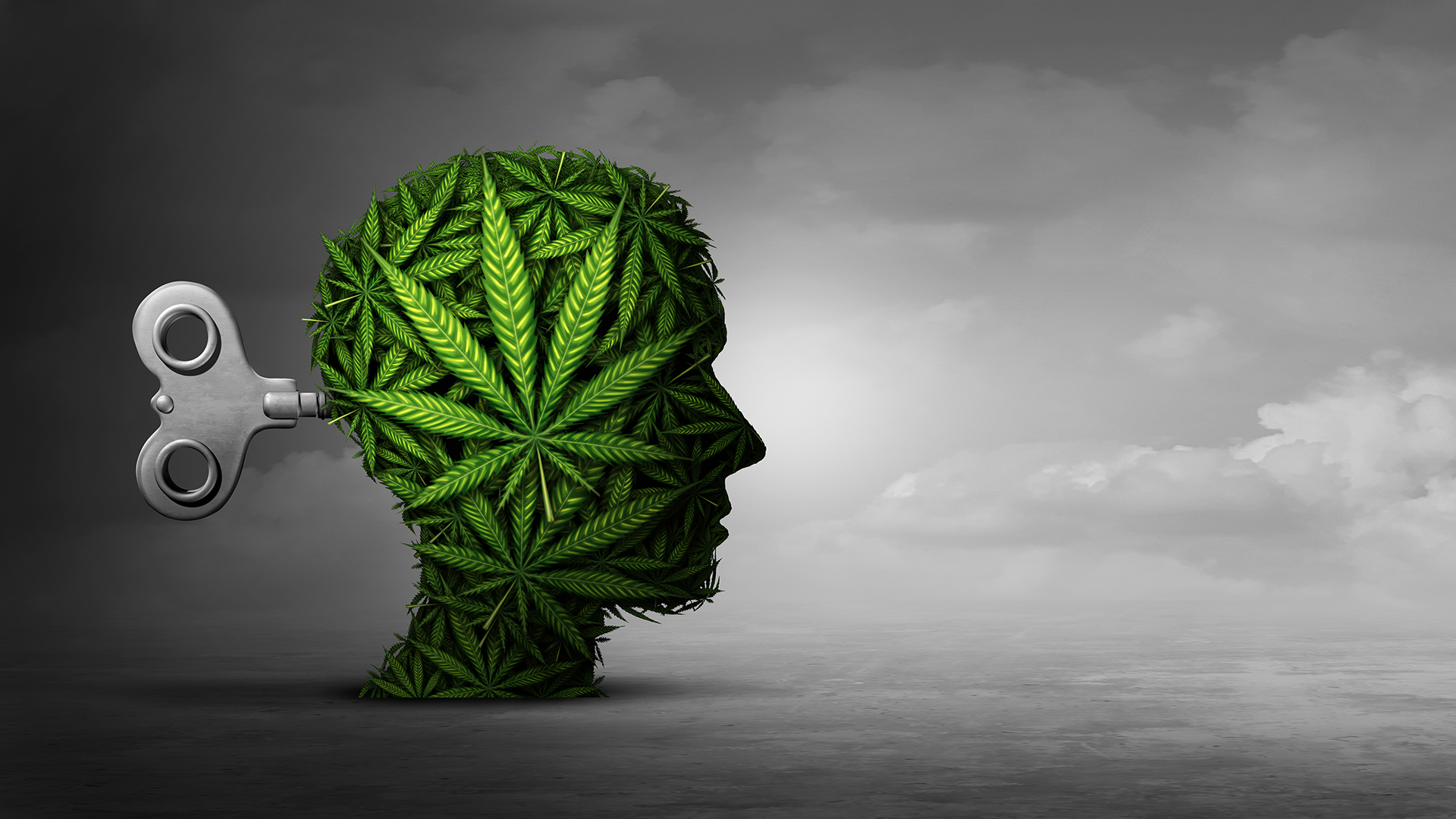 Immune system dysfunction and cannabis use linked to psychosis