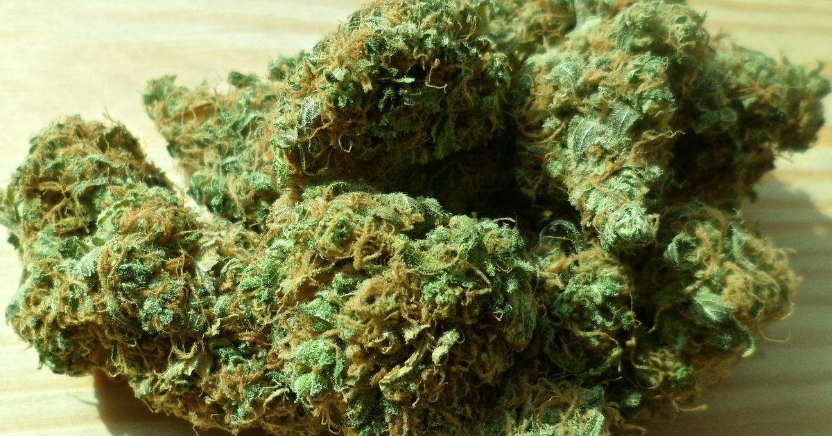 Toddler, 2, almost dies after accidentally ‘eating cannabis’