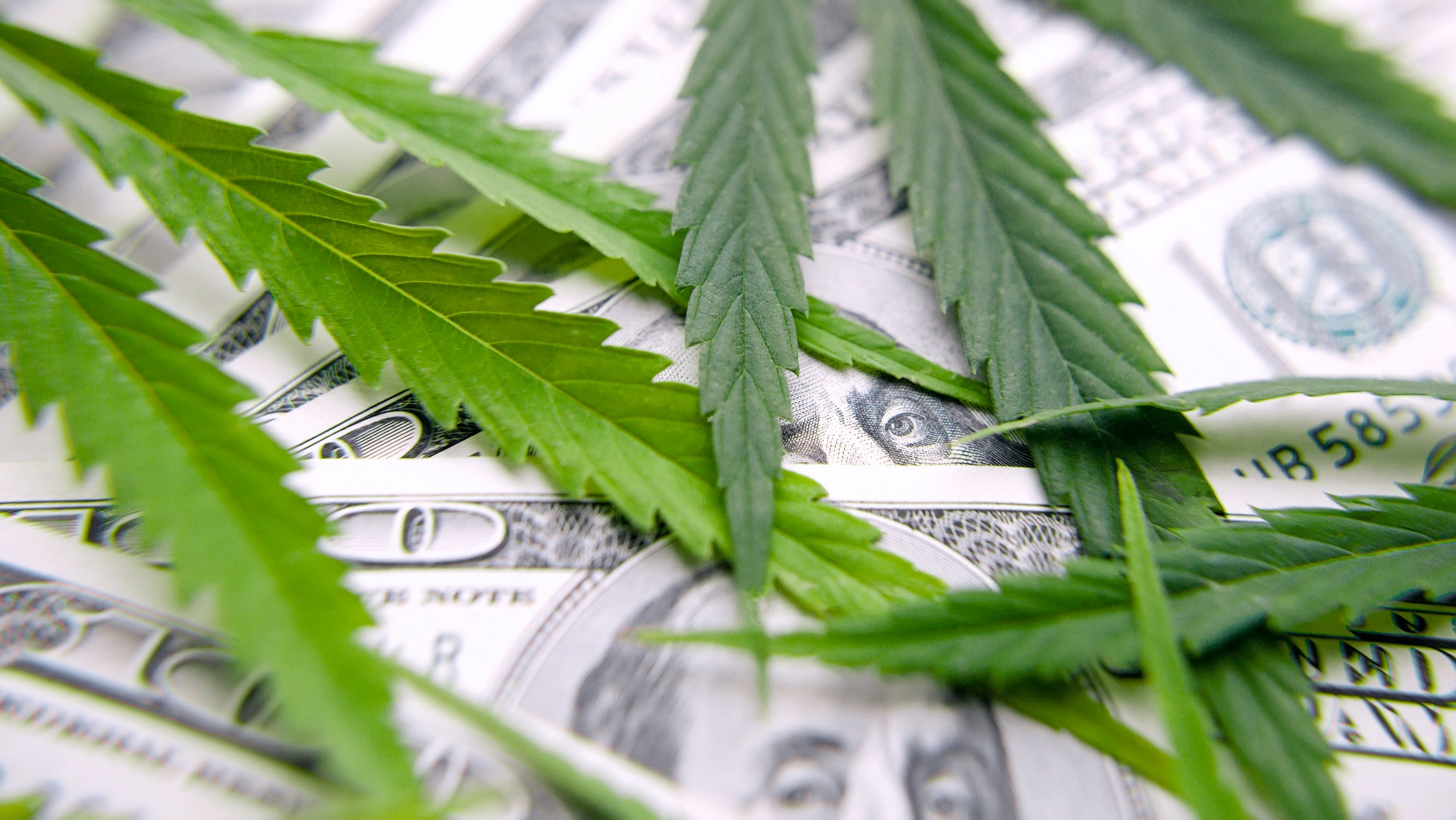 3 Under-the-Radar Cannabis Stocks to Buy Right Now