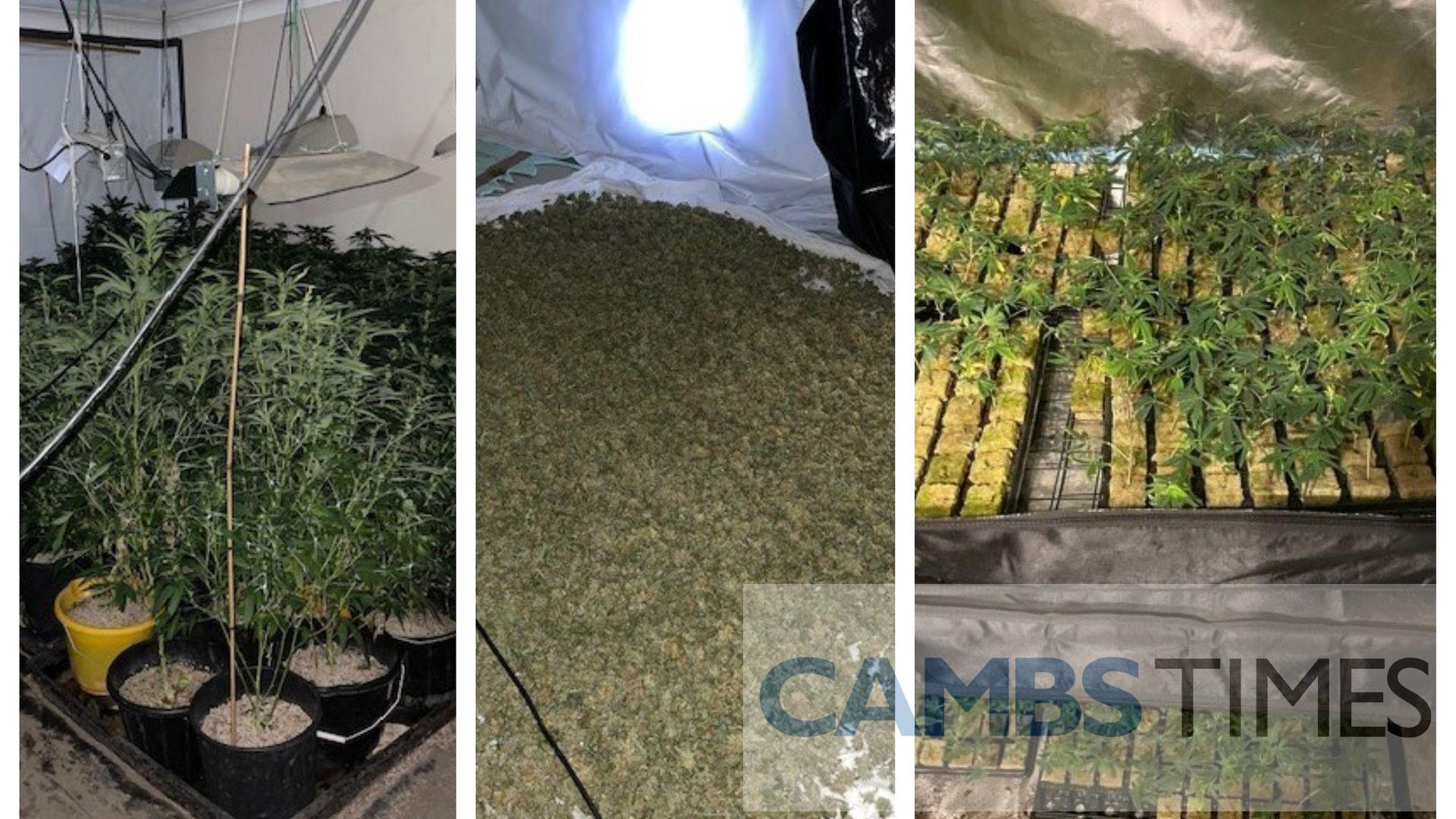 Cannabis worth over £656000 uncovered in Fen village – Cambs Times