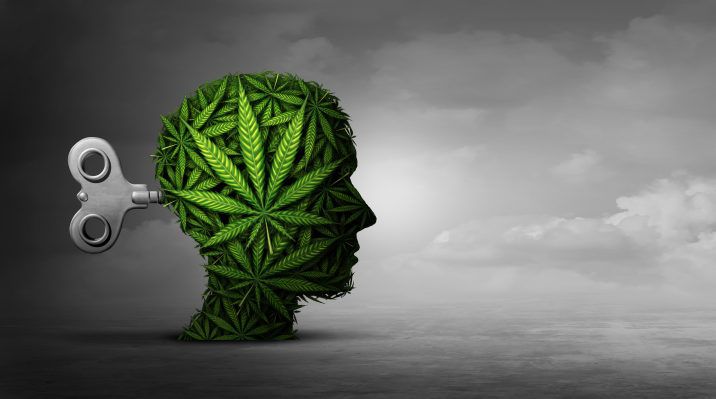 Researchers not yet ready to say whether or not cannabis affects brain development in …