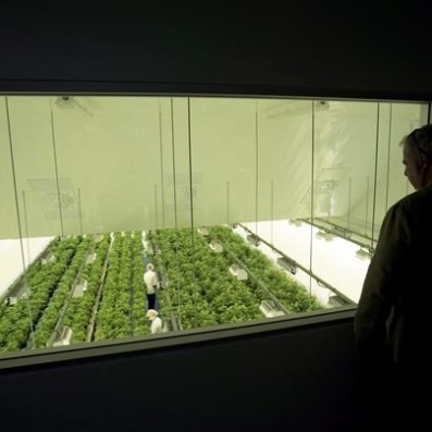 Australian pot company Little Green Pharma buys Canopy Growth facility in Denmark