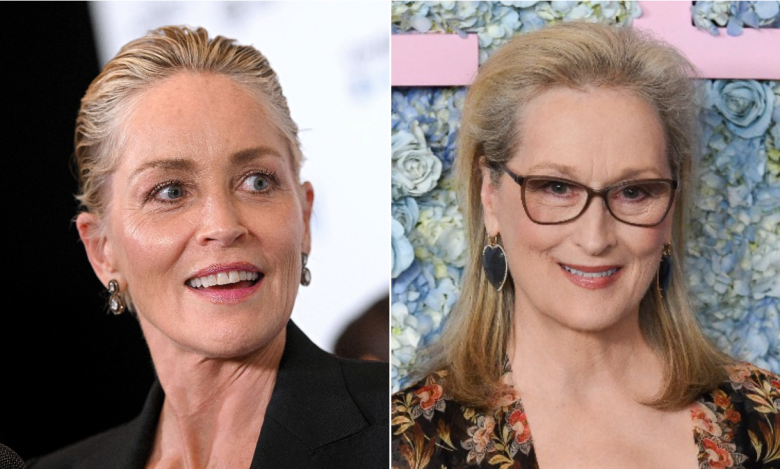 Sharon Stone Warns Against Idolizing Meryl Streep: ‘There Are Other Actresses Equally as Talented’