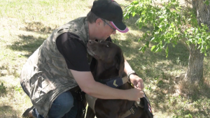 ‘She’s my lifeline’: Service dog refused entry at southern Alberta farmers’ market