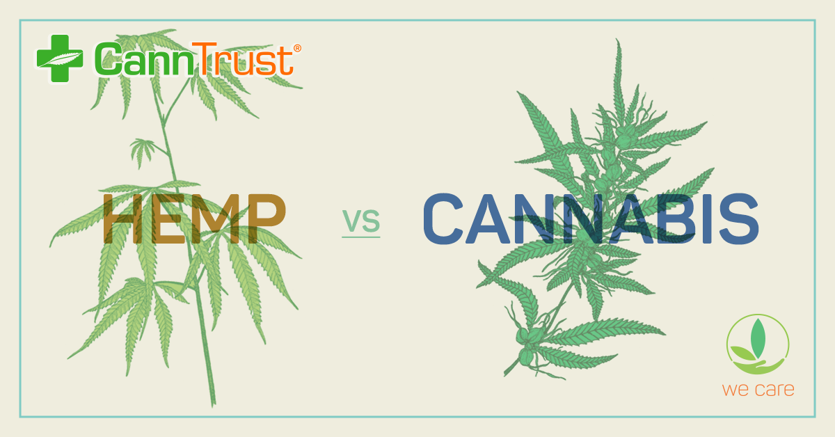 Charges laid in CannTrust scandal that rocked the Canadian cannabis industry