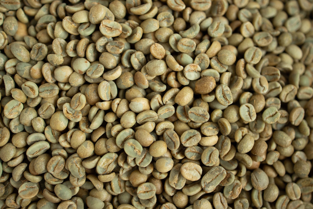 SCA Launching Green Coffee Summit with August Event
