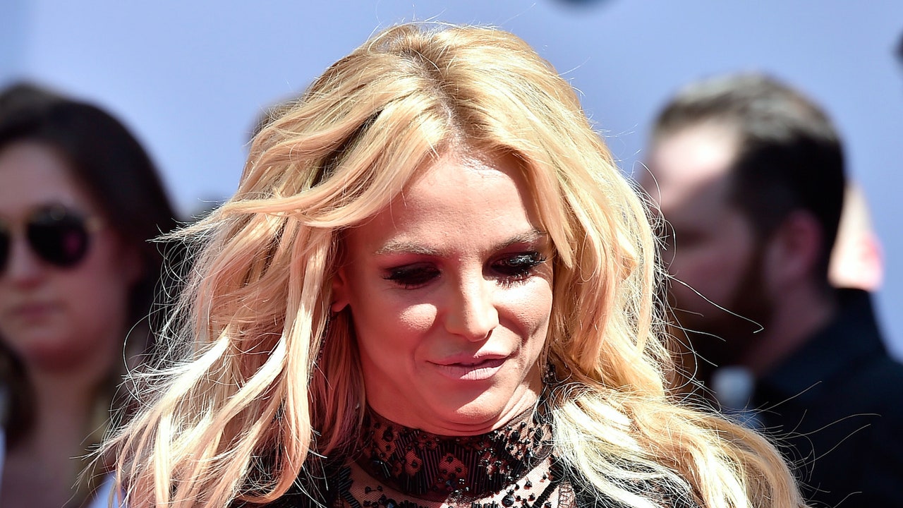 Britney Spears Makes First Public Statement Following Conservatorship Hearing
