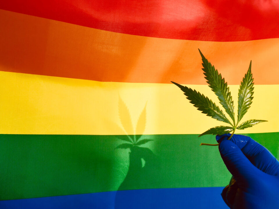 The LGBTQ Leaders in Cannabis