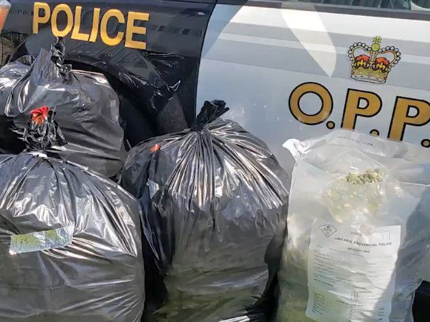 Police seize $4.5M in illegal cannabis from commercial property in Fergus, Ont.