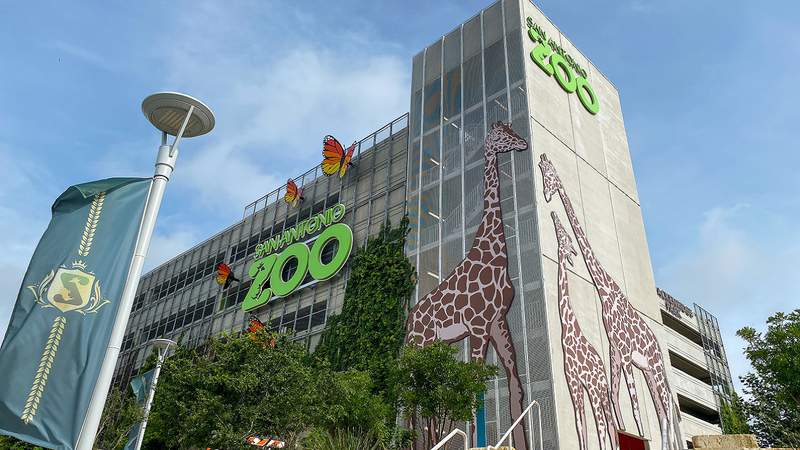 Giant tiger, giraffes adorn new zoo structure dubbed ‘the most beautiful parking garage on the planet’