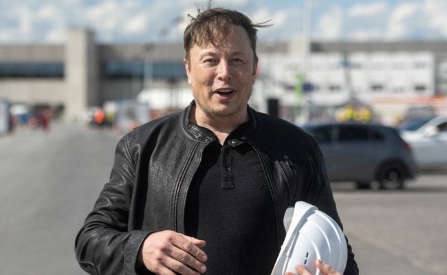 Elon Musk Targets “Bitcoin Maxis” In Tweet, They Respond