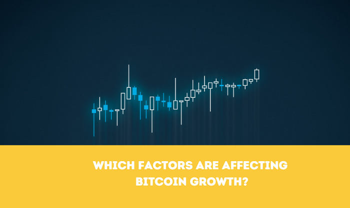 Which Factors are Affecting Bitcoin Growth?
