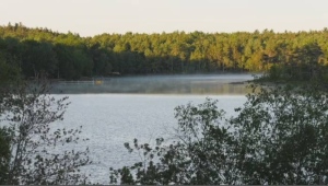 Some residents of Grand Lake, NS continue to use water after blue-green algae bloom