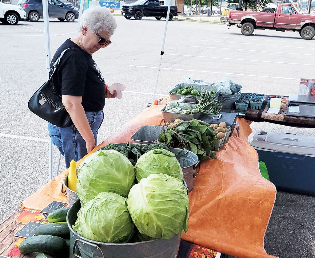 Community Resources offers fresh, healthy food at weekly market