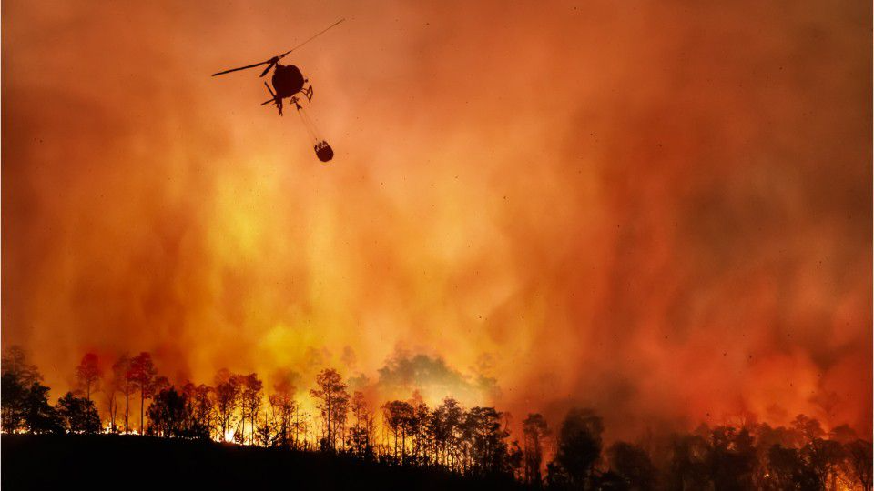 Wildfires: What are the 6 “Ps” of wildfire evacuation?