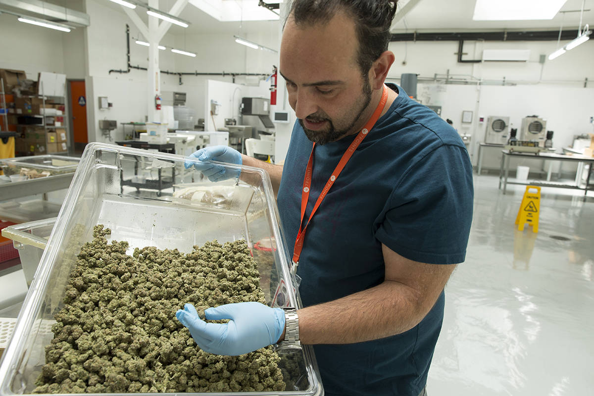 Green Rush: Cannabis equity program elevates unexpected entrepreneurs