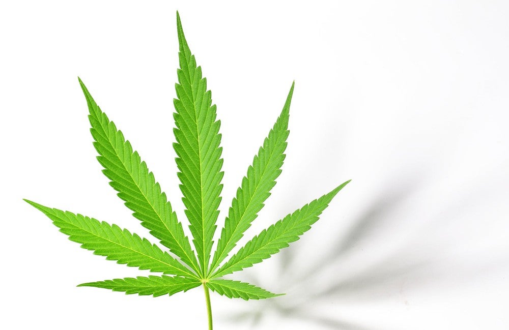 Will Marijuana Stock IIPR Jump Following the Q2 Earnings Report on Aug. 4?