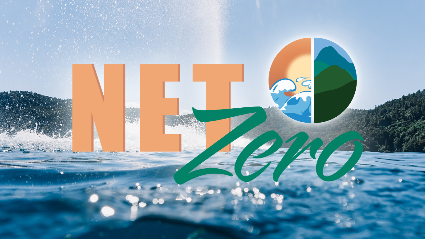 Net Zero: TC Energy explores green alternatives to pipelines