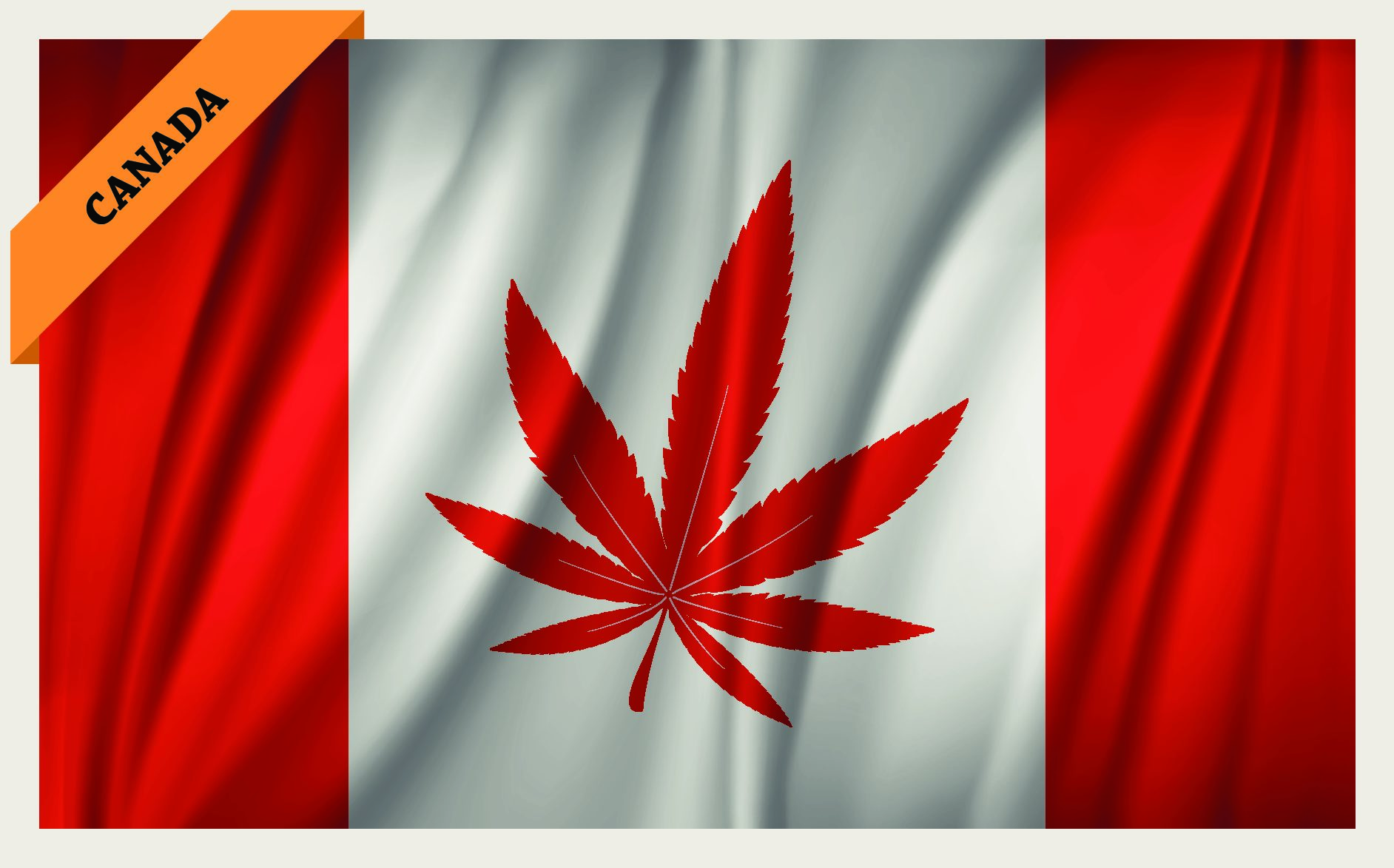 Canada’s cannabis market may have hit a plateau