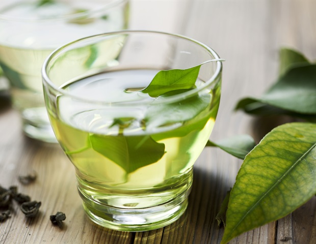 Green tea extract and cocoa-supplemented diets improve survival rate of aging mice – News Medical