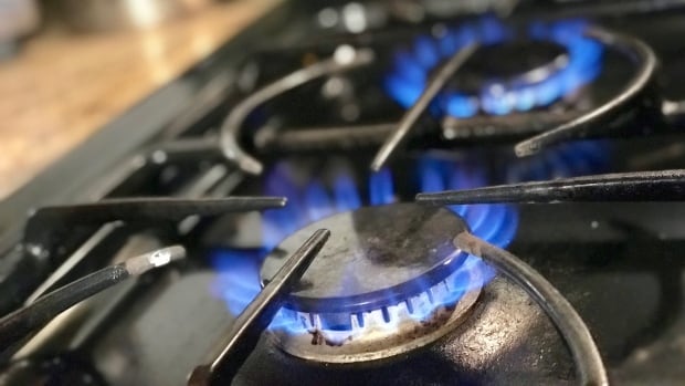Regulator orders steep hike in Manitoba natural gas rates, cites tight market | CBC News