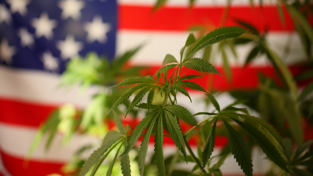 The US Cannabis Sector May Finally Start To See Some Light At The End Of The Tunnel