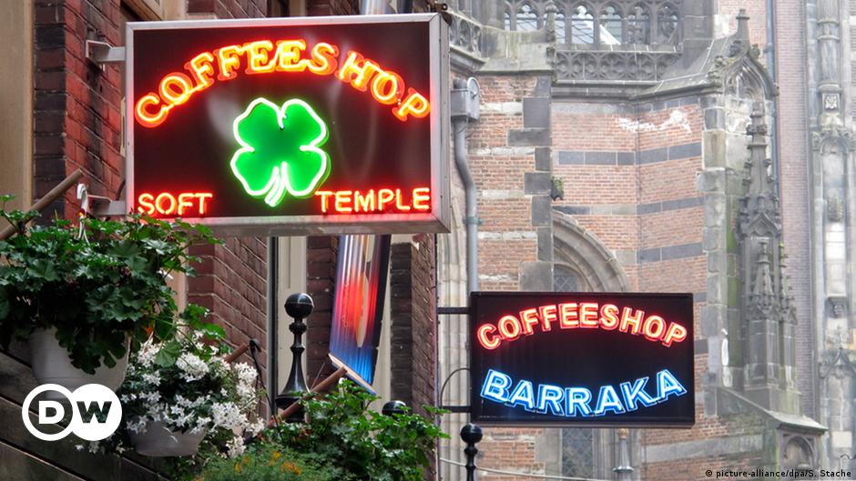 Amsterdam cannabis cafes fear foreign tourist ban amid COVID recovery – DW
