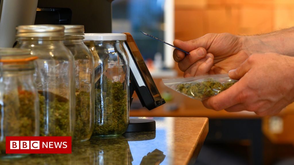 Guernsey States set to debate cannabis legalisation – BBC News