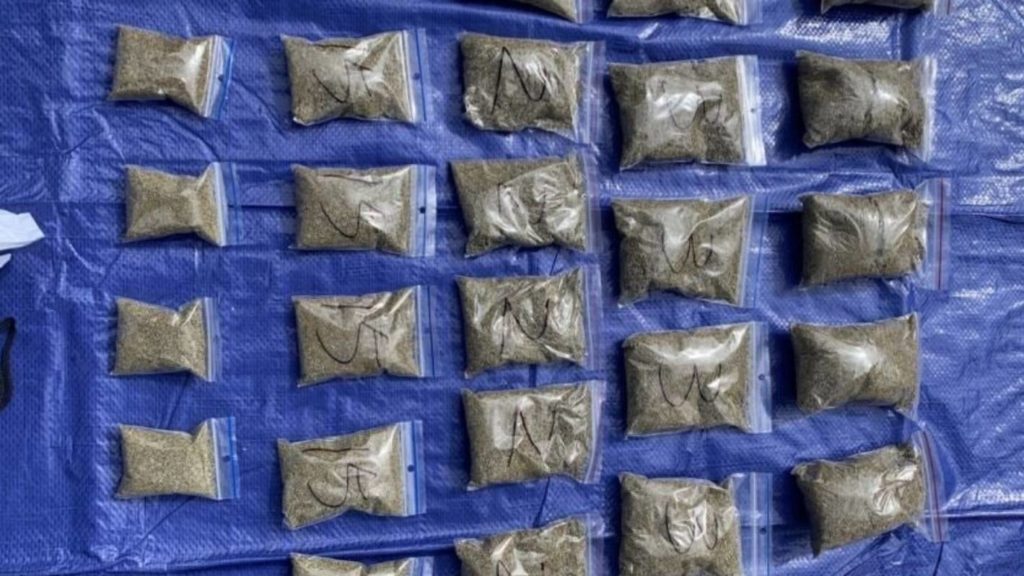 Police seize three kilograms of synthetic cannabis and $40,000 in cash in drugs raids | Stuff.co.nz