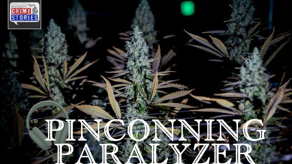 ‘Bam, there’s your Paralyzer’: The story of the Pinconning Paralyzer cannabis strain … – MLive.com