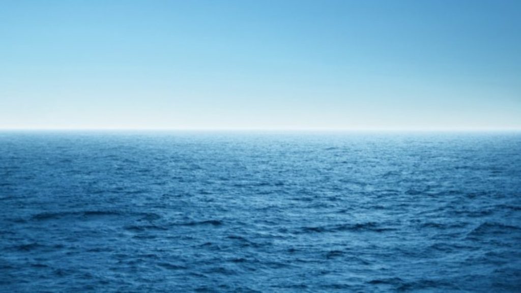 Scientists want to find out how much carbon the oceans can absorb | Deccan Herald