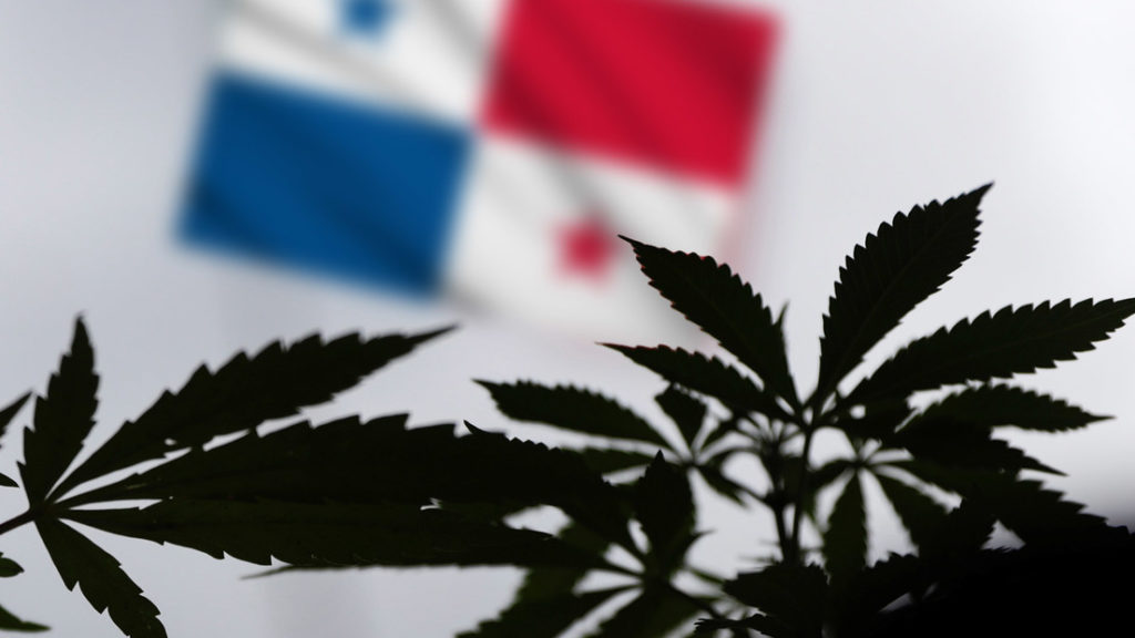 Panama Would Become the First Central American Country to Approve Medical Cannabis …