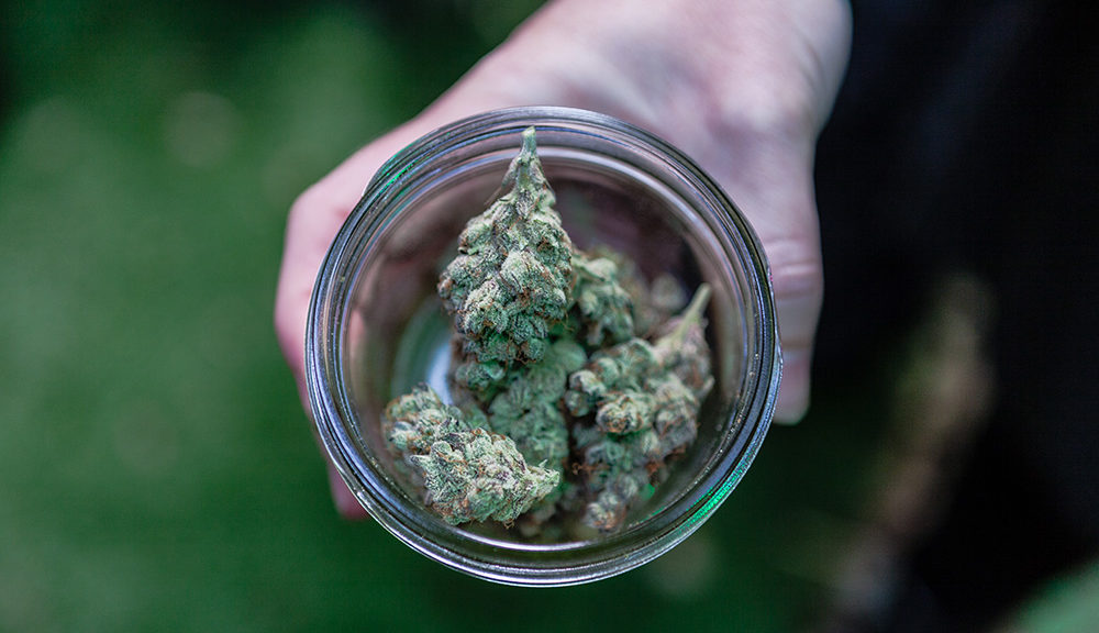 Washington DC Council Passes MMJ Measure, Drops Gifting Crackdown – Cannabis Now