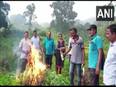 Andhra Pradesh: Visakhapatnam District Police destroys cannabis plantation – ANI News