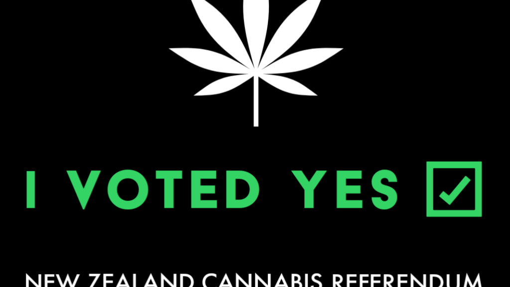 One year on from the cannabis referendum: The forgotten 48% | The Daily Blog